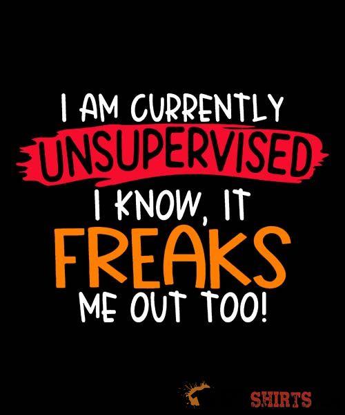 I'm Currently Unsupervised Funny T-Shirt | StupidShirts.com Unisex T-Shirt StupidShirts.com