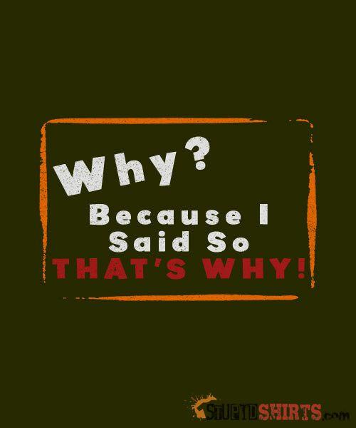Why? Because I Said So That's Why! Funny Parent Tee Unisex T-Shirt StupidShirts.com