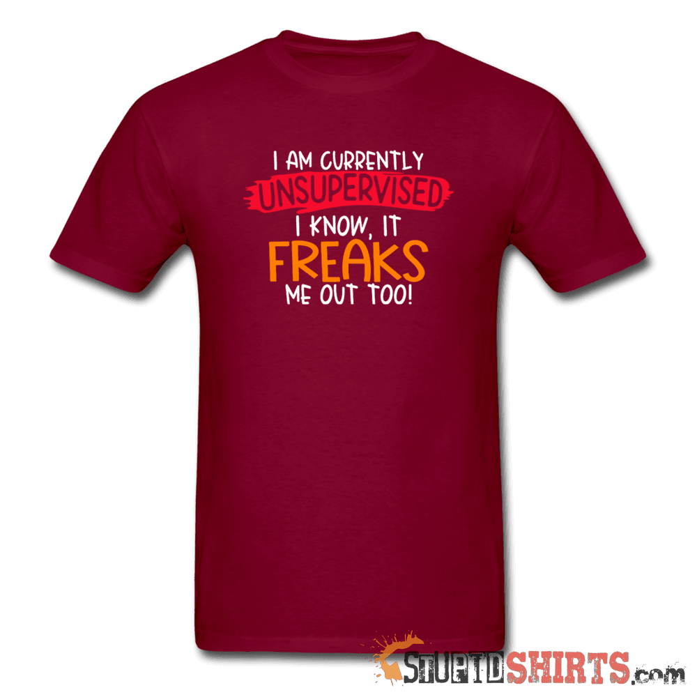 I'm Currently Unsupervised Funny T-Shirt | StupidShirts.com Unisex T-Shirt StupidShirts.com